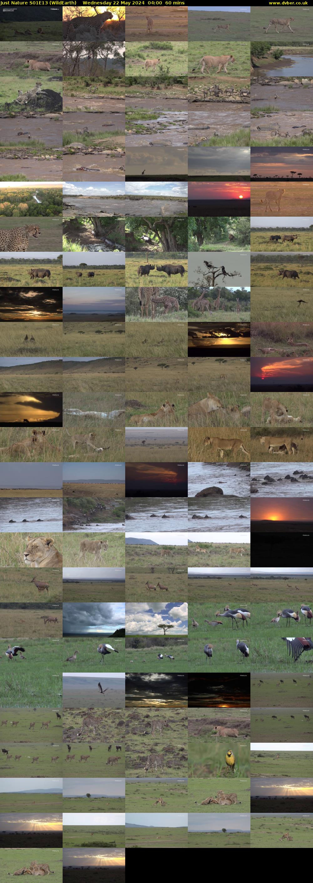Just Nature S01E13 (WildEarth) Wednesday 22 May 2024 04:00 - 05:00