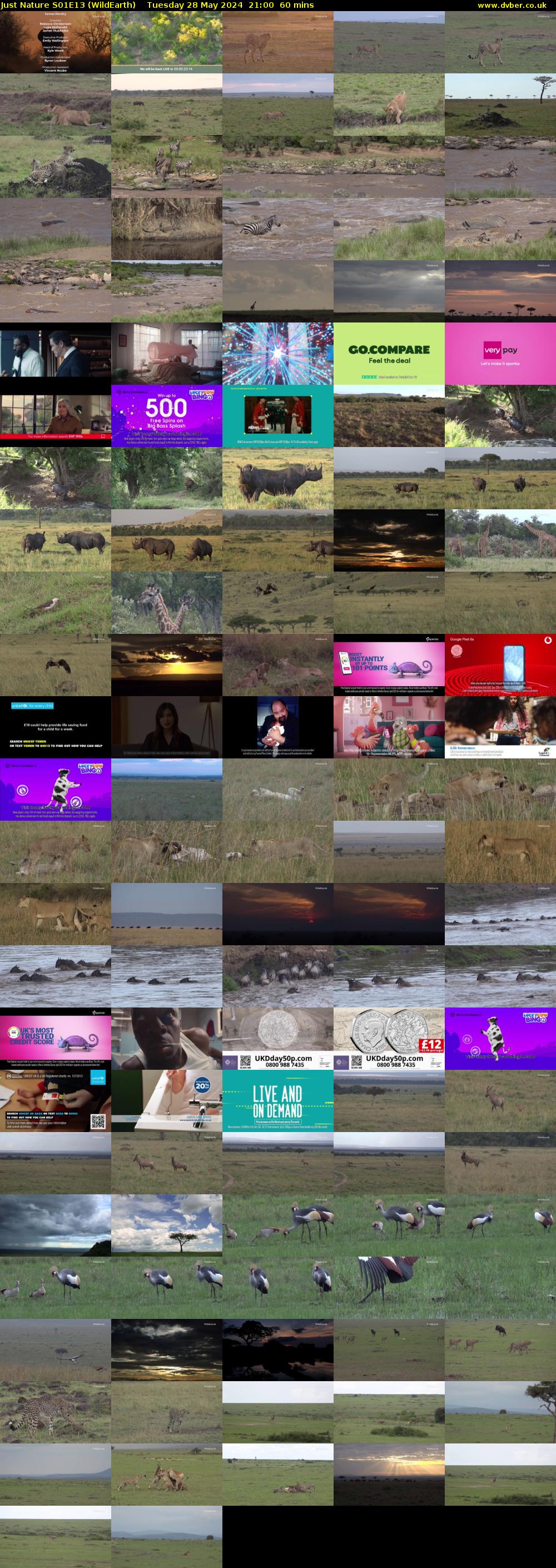 Just Nature S01E13 (WildEarth) Tuesday 28 May 2024 21:00 - 22:00