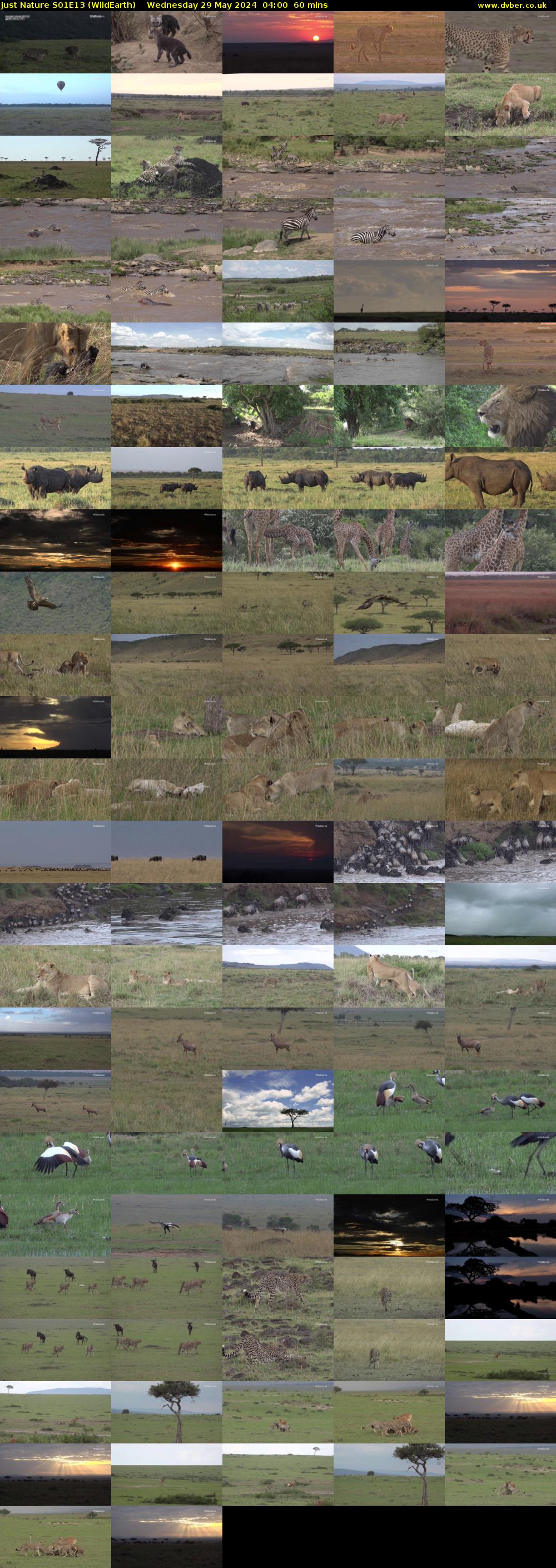 Just Nature S01E13 (WildEarth) Wednesday 29 May 2024 04:00 - 05:00