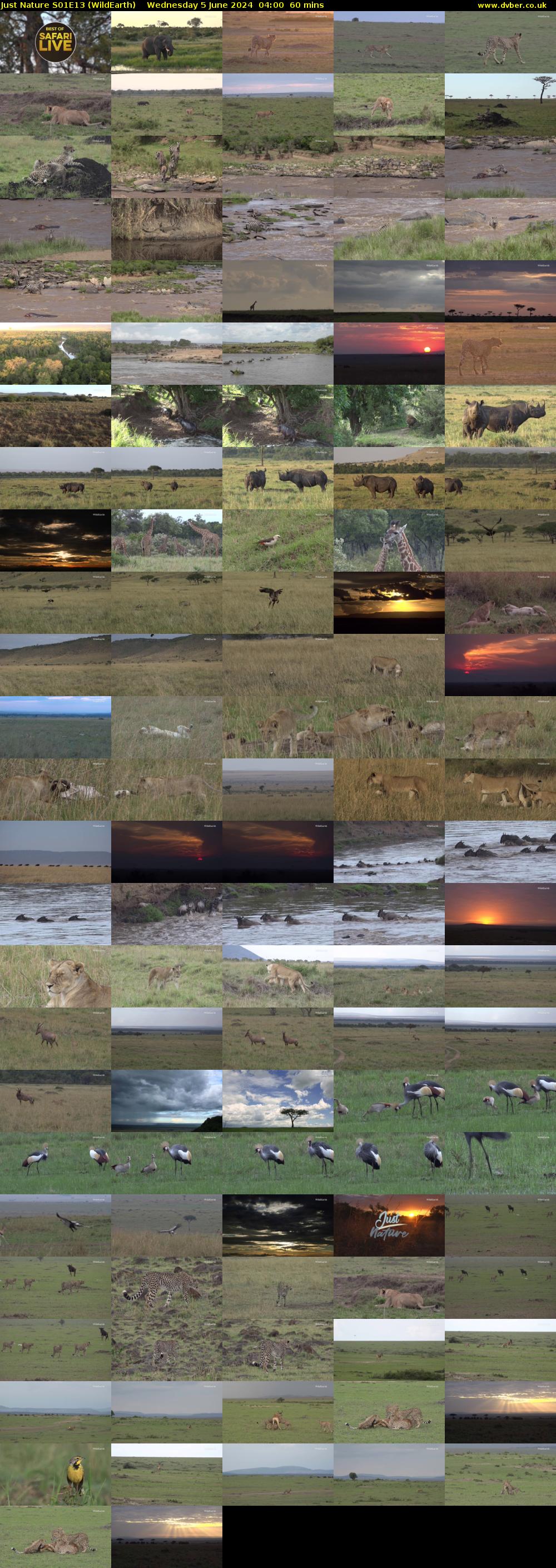 Just Nature S01E13 (WildEarth) Wednesday 5 June 2024 04:00 - 05:00
