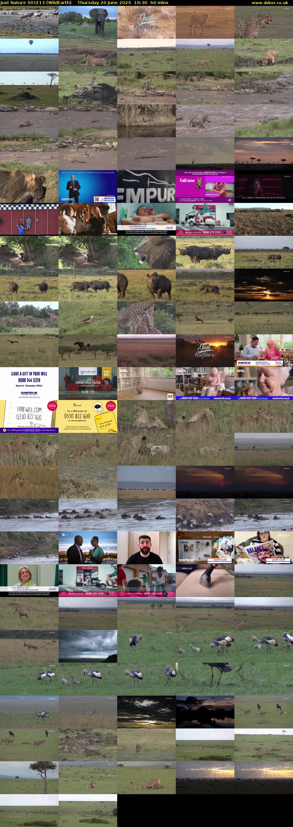 Just Nature S01E13 (WildEarth) Thursday 20 June 2024 10:30 - 11:30