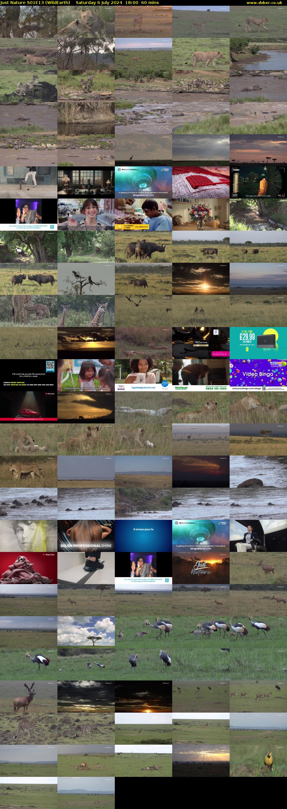 Just Nature S01E13 (WildEarth) Saturday 6 July 2024 18:00 - 19:00