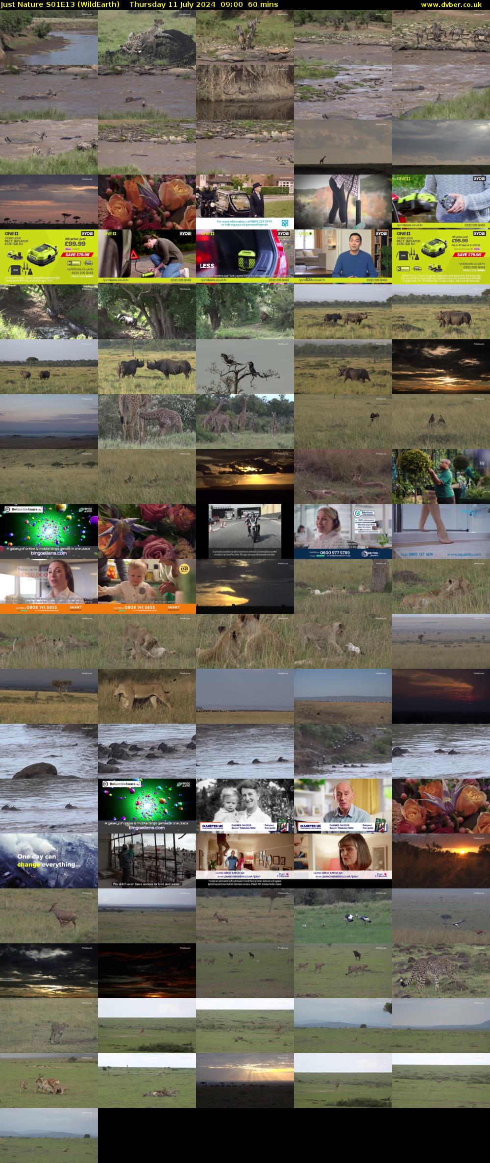 Just Nature S01E13 (WildEarth) Thursday 11 July 2024 09:00 - 10:00