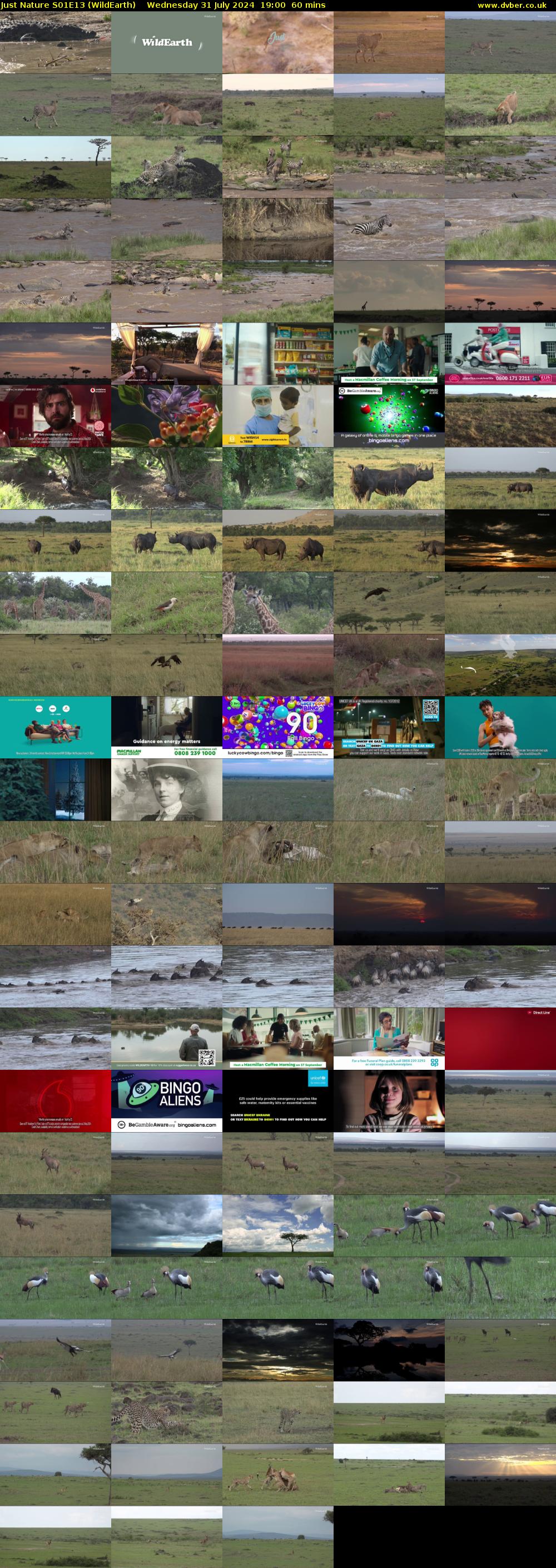 Just Nature S01E13 (WildEarth) Wednesday 31 July 2024 19:00 - 20:00