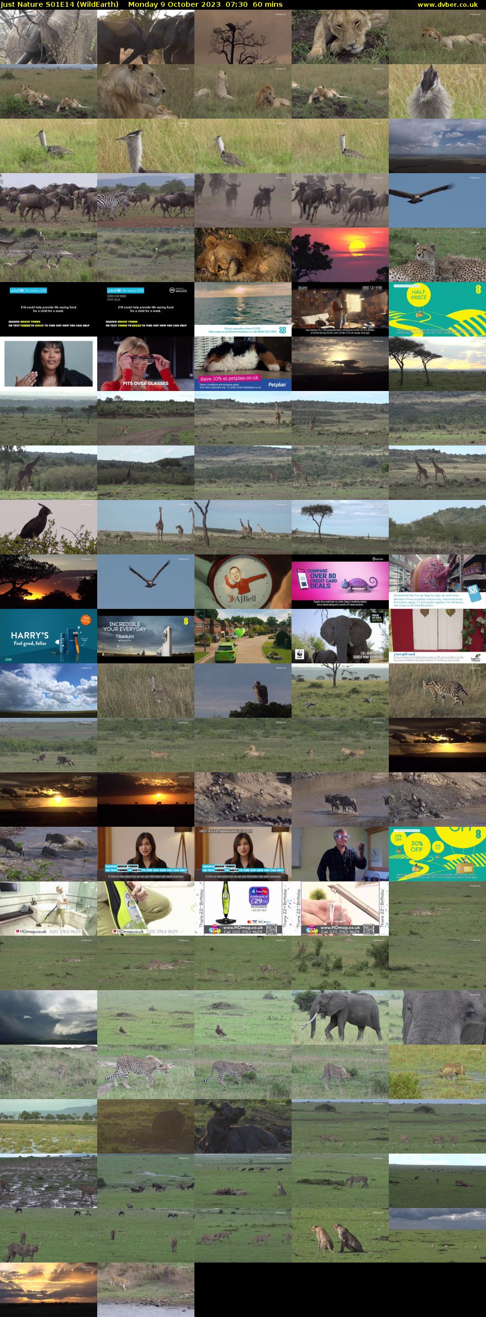 Just Nature S01E14 (WildEarth) Monday 9 October 2023 07:30 - 08:30