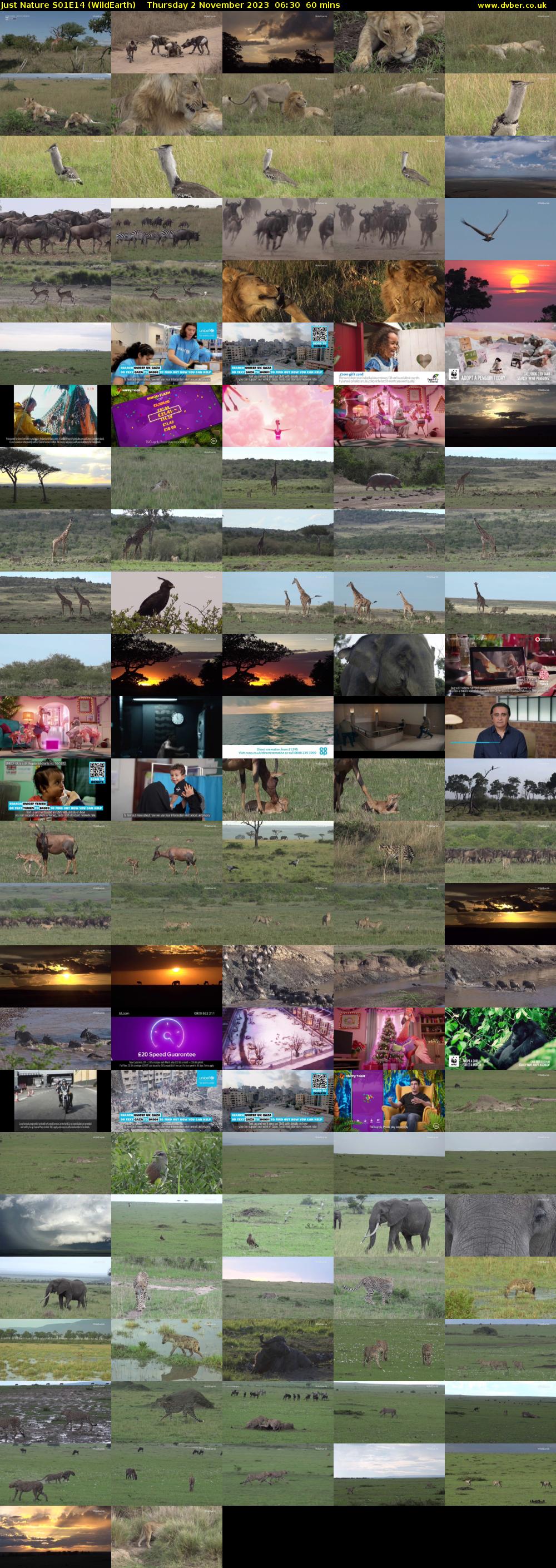 Just Nature S01E14 (WildEarth) Thursday 2 November 2023 06:30 - 07:30