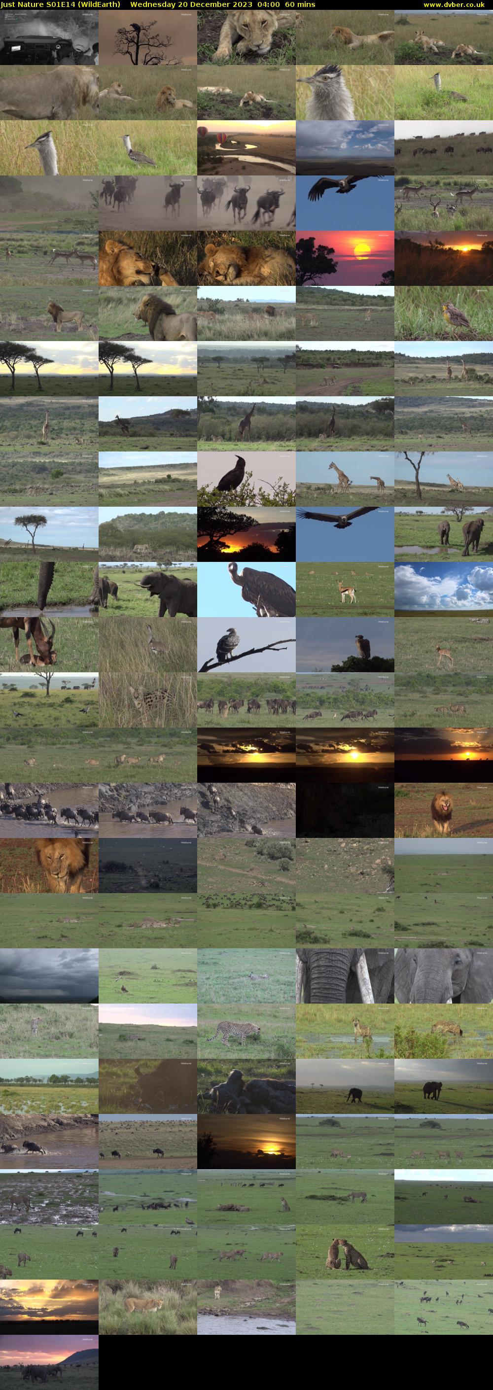Just Nature S01E14 (WildEarth) Wednesday 20 December 2023 04:00 - 05:00