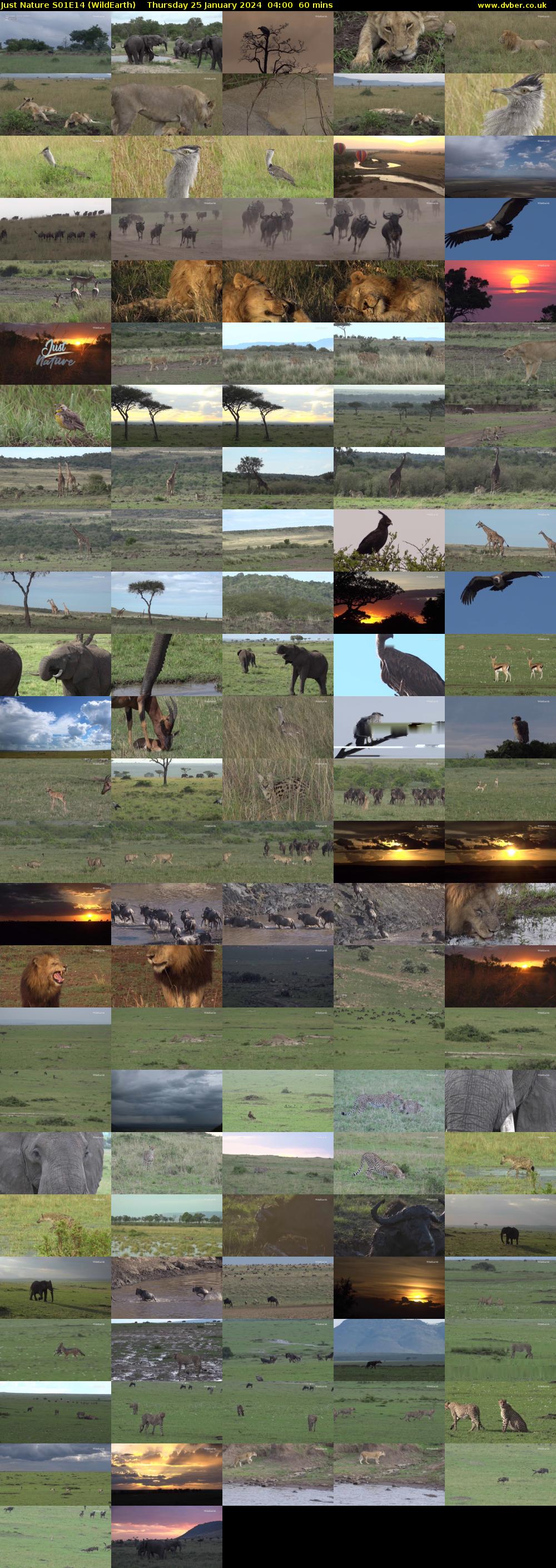 Just Nature S01E14 (WildEarth) Thursday 25 January 2024 04:00 - 05:00