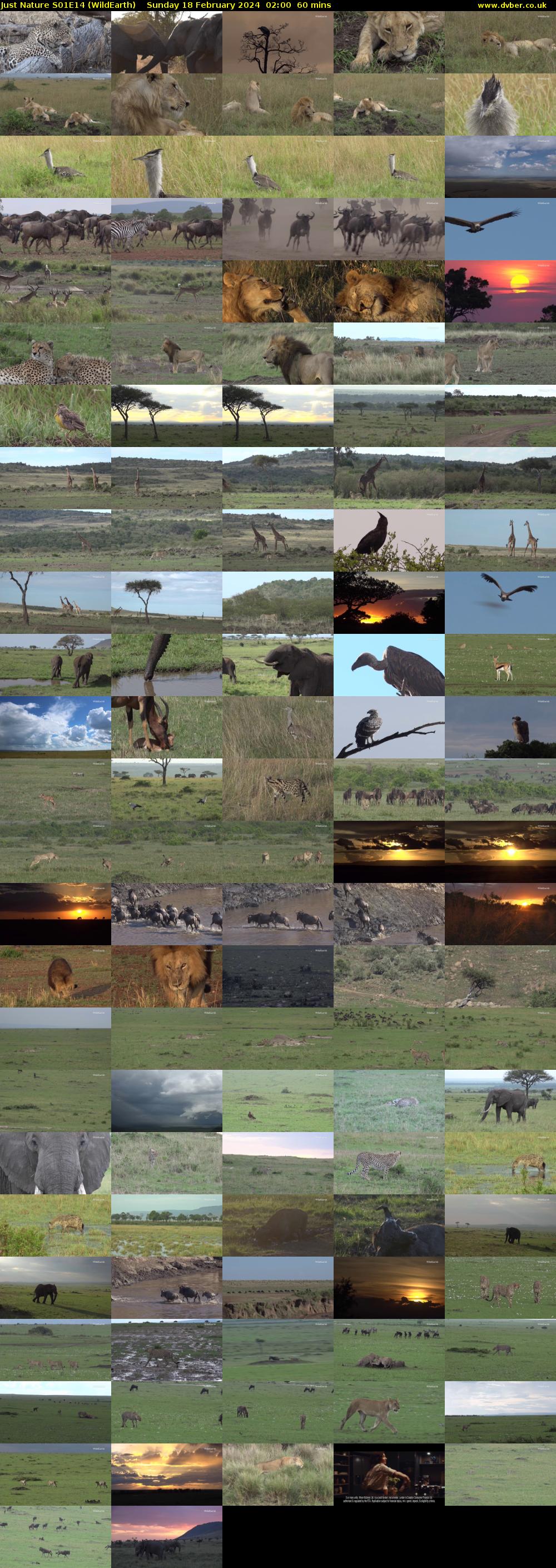 Just Nature S01E14 (WildEarth) Sunday 18 February 2024 02:00 - 03:00