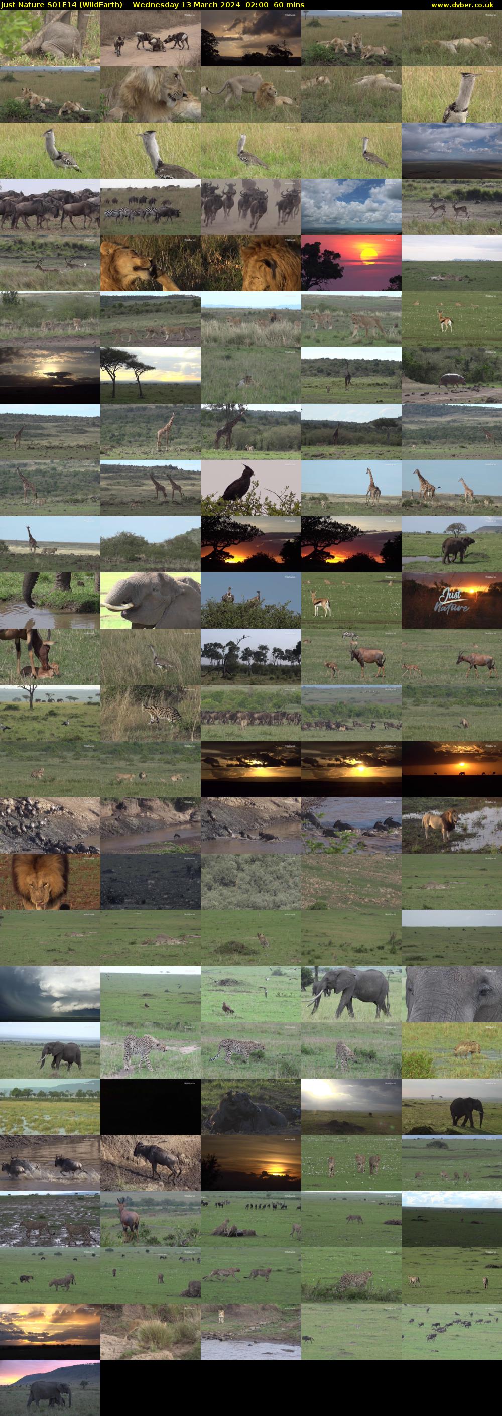 Just Nature S01E14 (WildEarth) Wednesday 13 March 2024 02:00 - 03:00