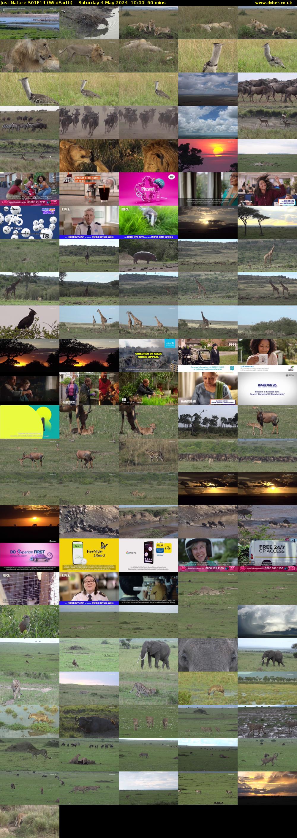 Just Nature S01E14 (WildEarth) Saturday 4 May 2024 10:00 - 11:00
