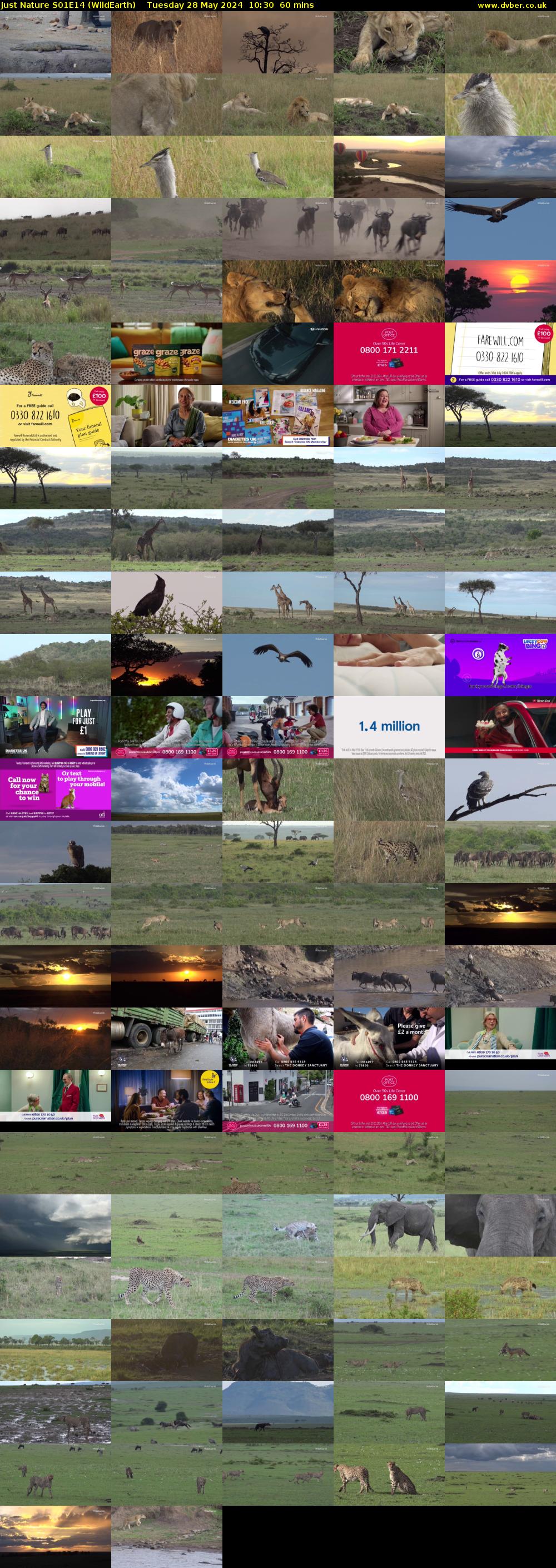 Just Nature S01E14 (WildEarth) Tuesday 28 May 2024 10:30 - 11:30