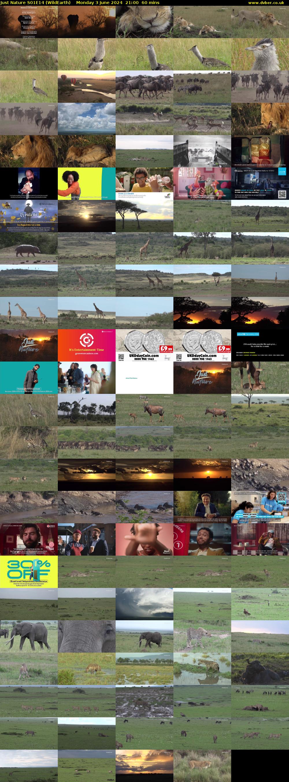 Just Nature S01E14 (WildEarth) Monday 3 June 2024 21:00 - 22:00