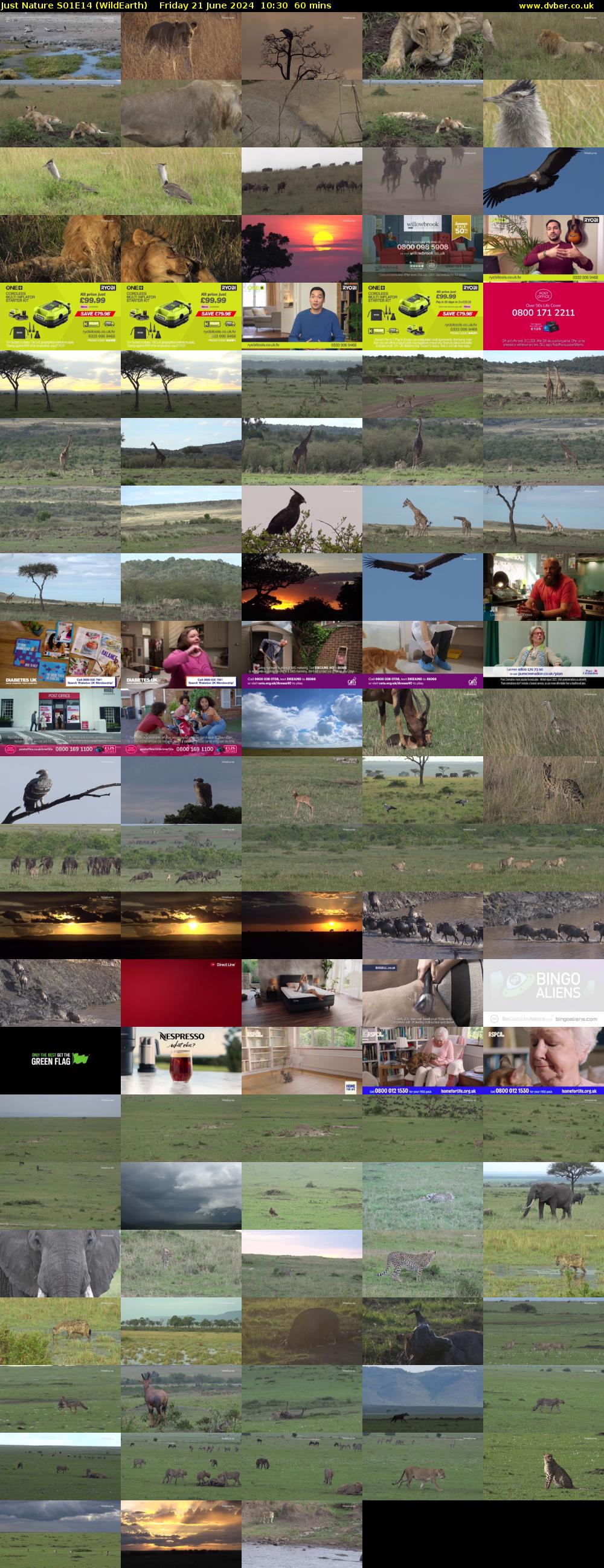 Just Nature S01E14 (WildEarth) Friday 21 June 2024 10:30 - 11:30