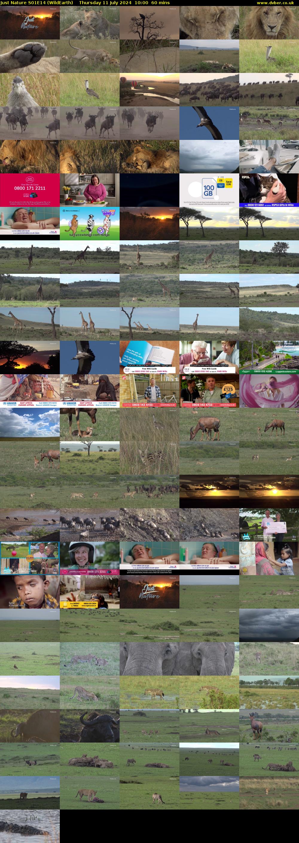 Just Nature S01E14 (WildEarth) Thursday 11 July 2024 10:00 - 11:00