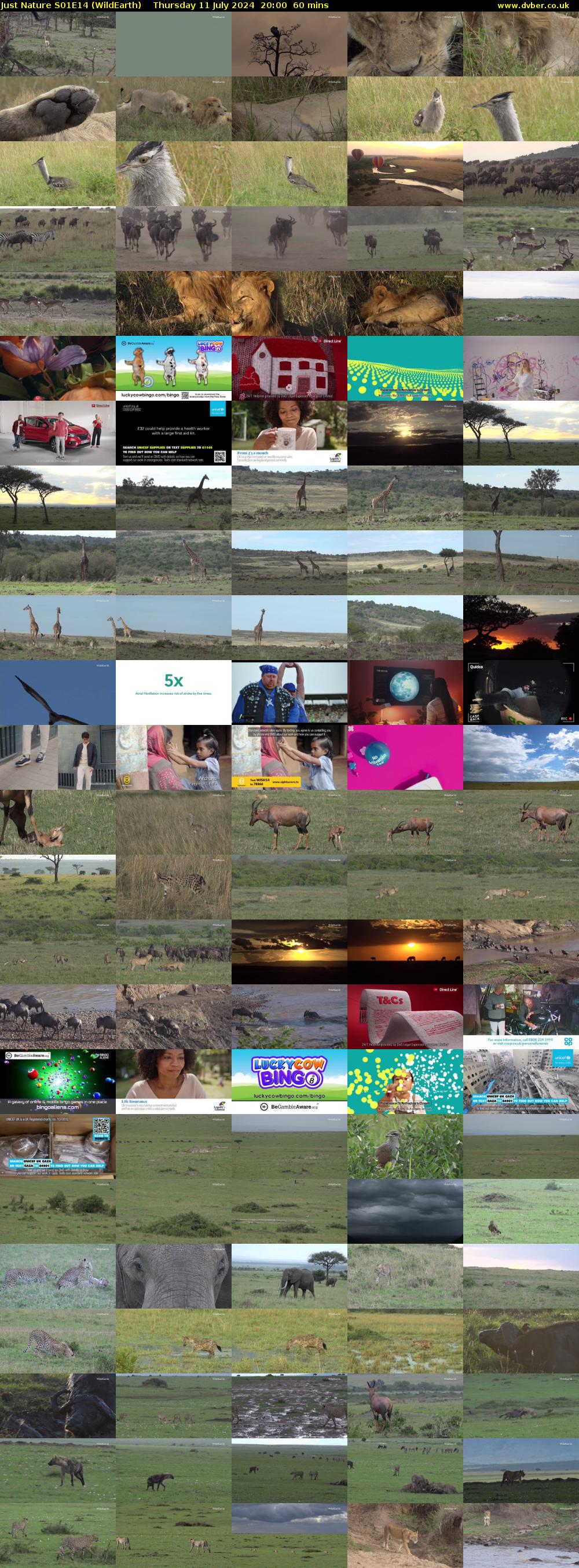 Just Nature S01E14 (WildEarth) Thursday 11 July 2024 20:00 - 21:00