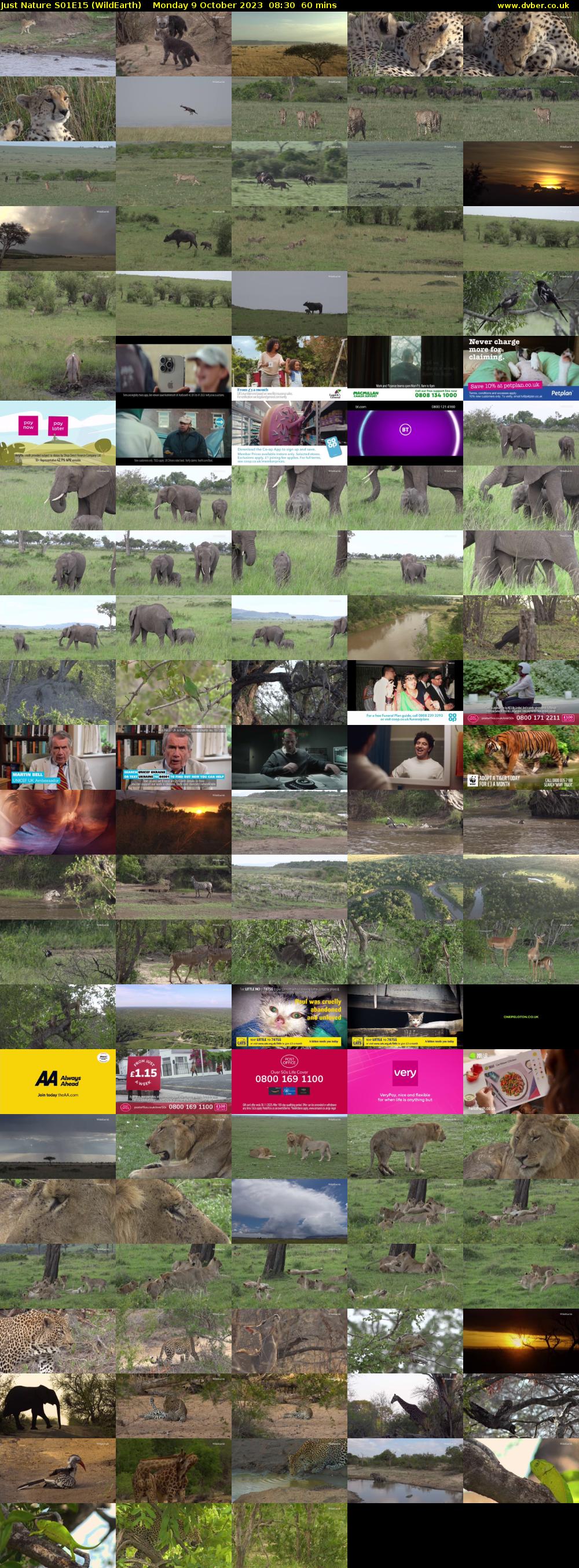 Just Nature S01E15 (WildEarth) Monday 9 October 2023 08:30 - 09:30