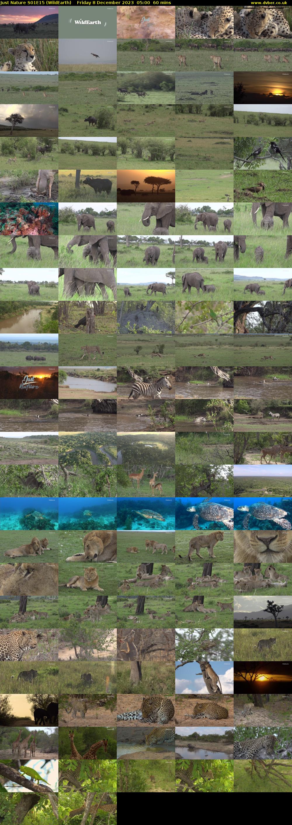 Just Nature S01E15 (WildEarth) Friday 8 December 2023 05:00 - 06:00
