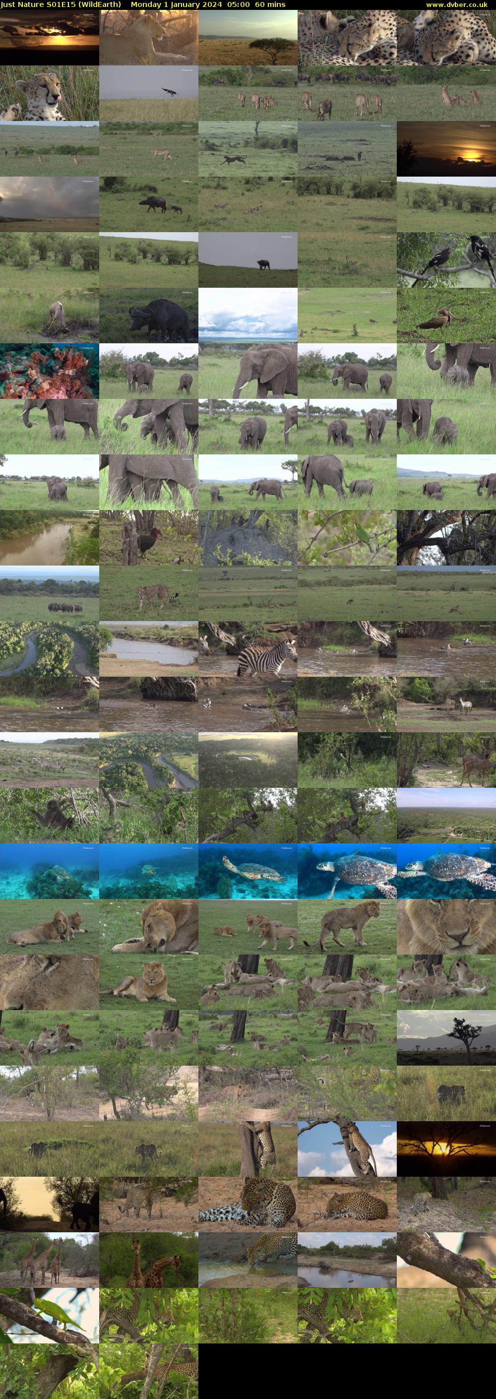Just Nature S01E15 (WildEarth) Monday 1 January 2024 05:00 - 06:00