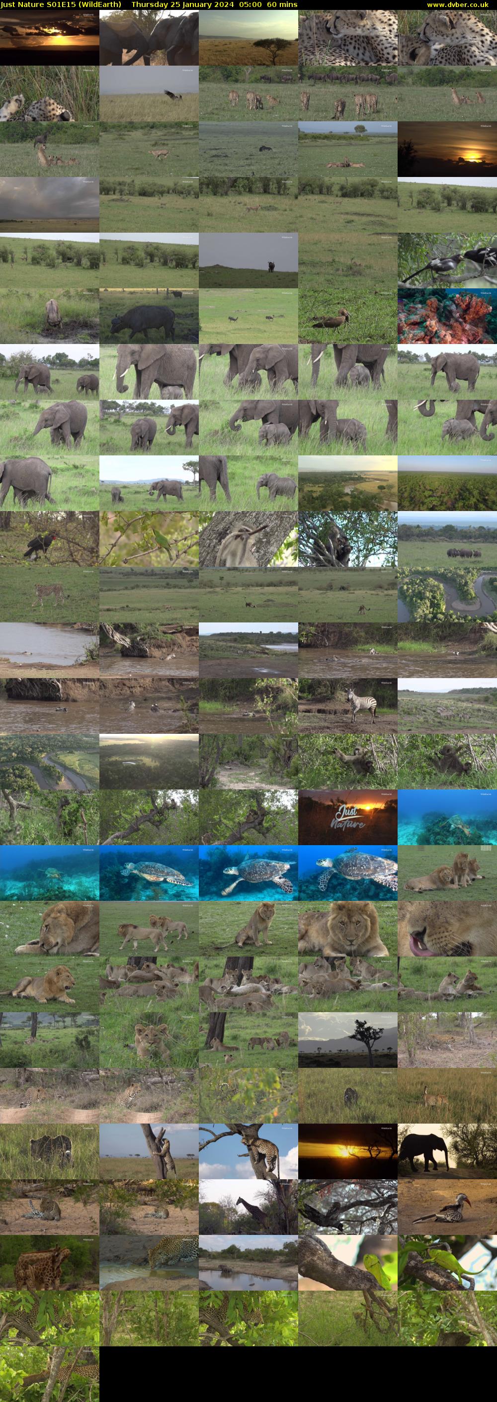 Just Nature S01E15 (WildEarth) Thursday 25 January 2024 05:00 - 06:00