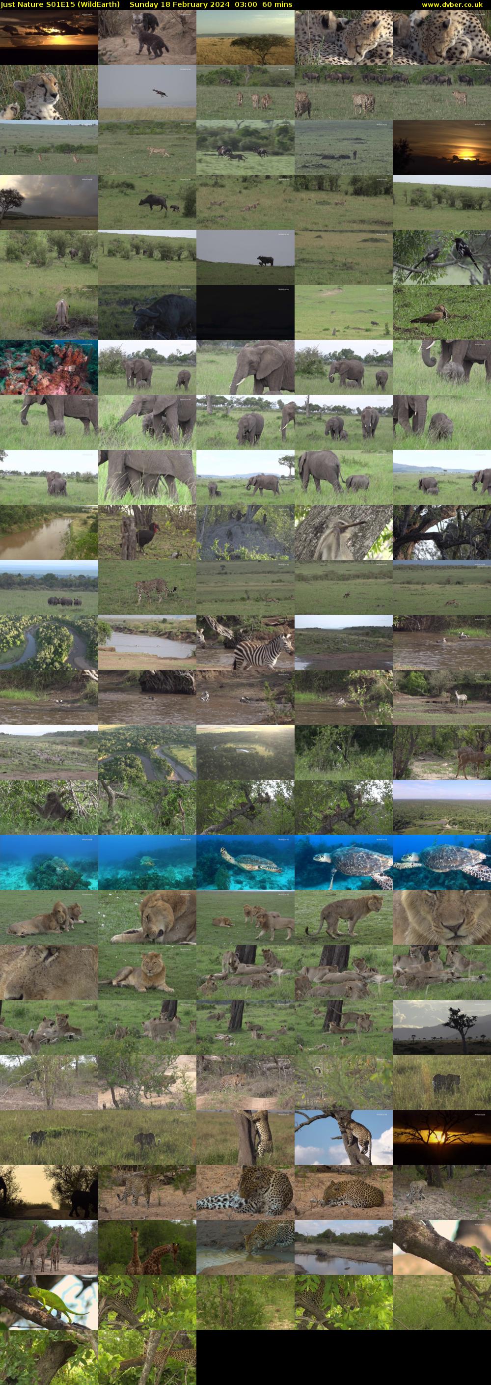 Just Nature S01E15 (WildEarth) Sunday 18 February 2024 03:00 - 04:00