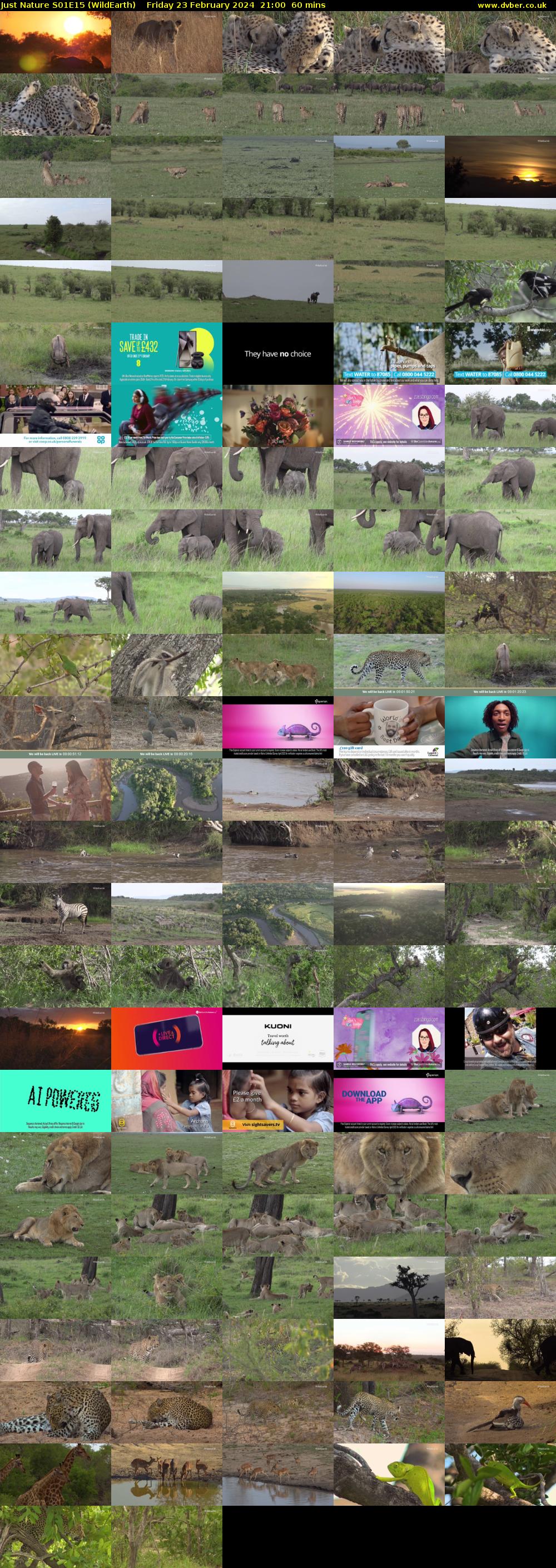 Just Nature S01E15 (WildEarth) Friday 23 February 2024 21:00 - 22:00