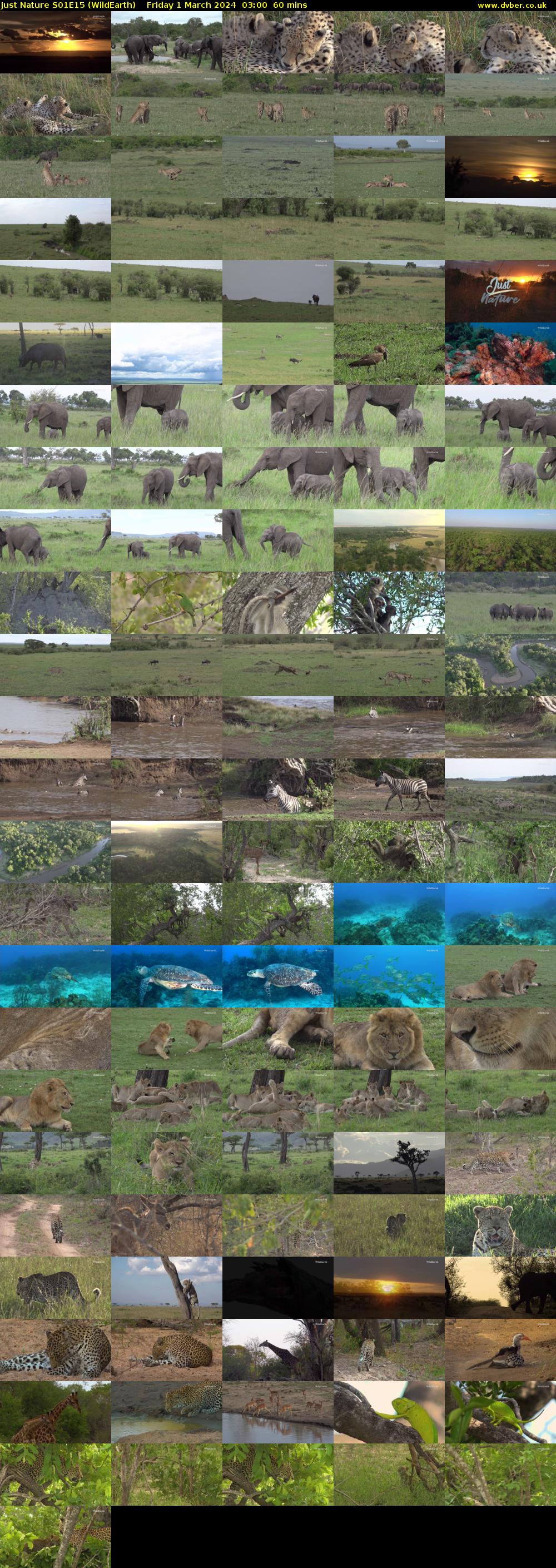 Just Nature S01E15 (WildEarth) Friday 1 March 2024 03:00 - 04:00