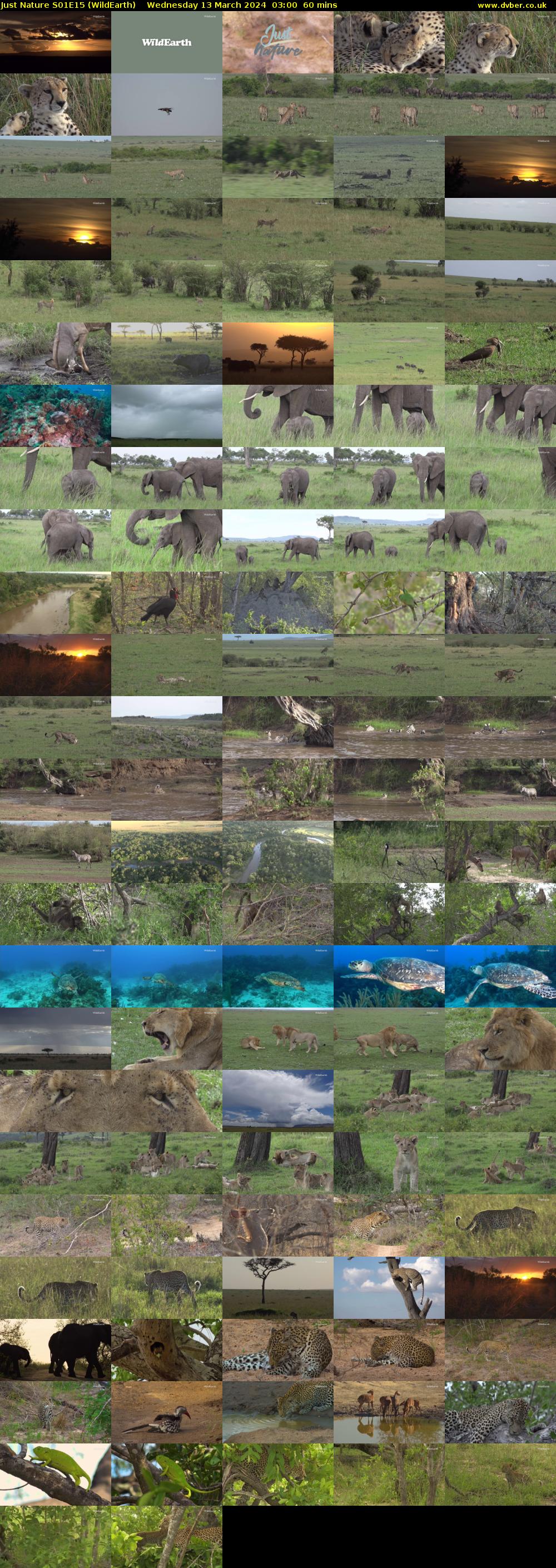Just Nature S01E15 (WildEarth) Wednesday 13 March 2024 03:00 - 04:00