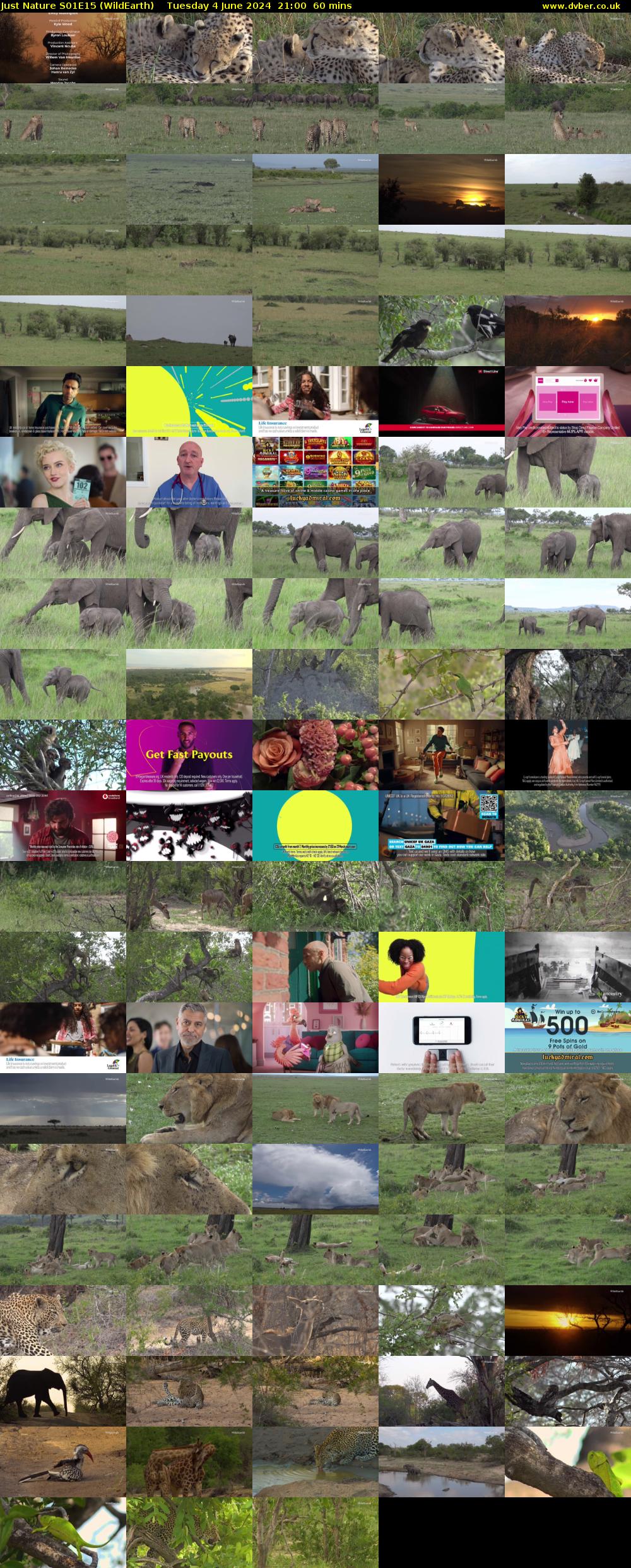 Just Nature S01E15 (WildEarth) Tuesday 4 June 2024 21:00 - 22:00