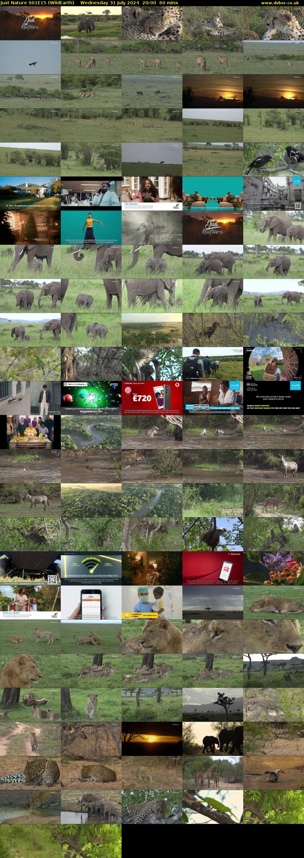 Just Nature S01E15 (WildEarth) Wednesday 31 July 2024 20:00 - 21:00