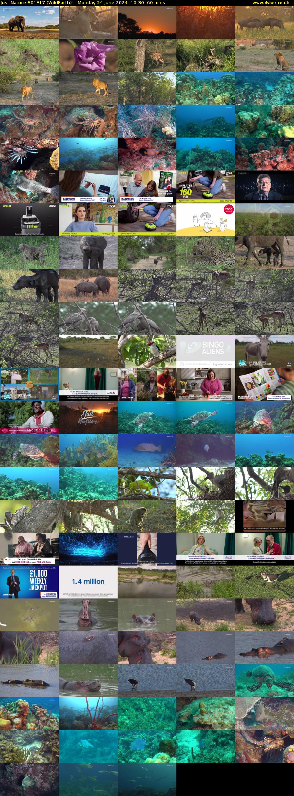 Just Nature S01E17 (WildEarth) Monday 24 June 2024 10:30 - 11:30