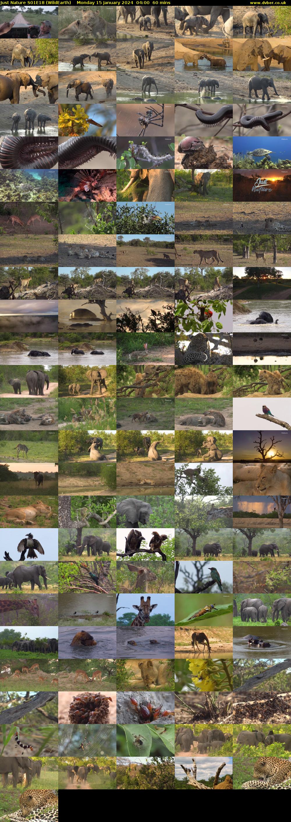 Just Nature S01E18 (WildEarth) Monday 15 January 2024 04:00 - 05:00