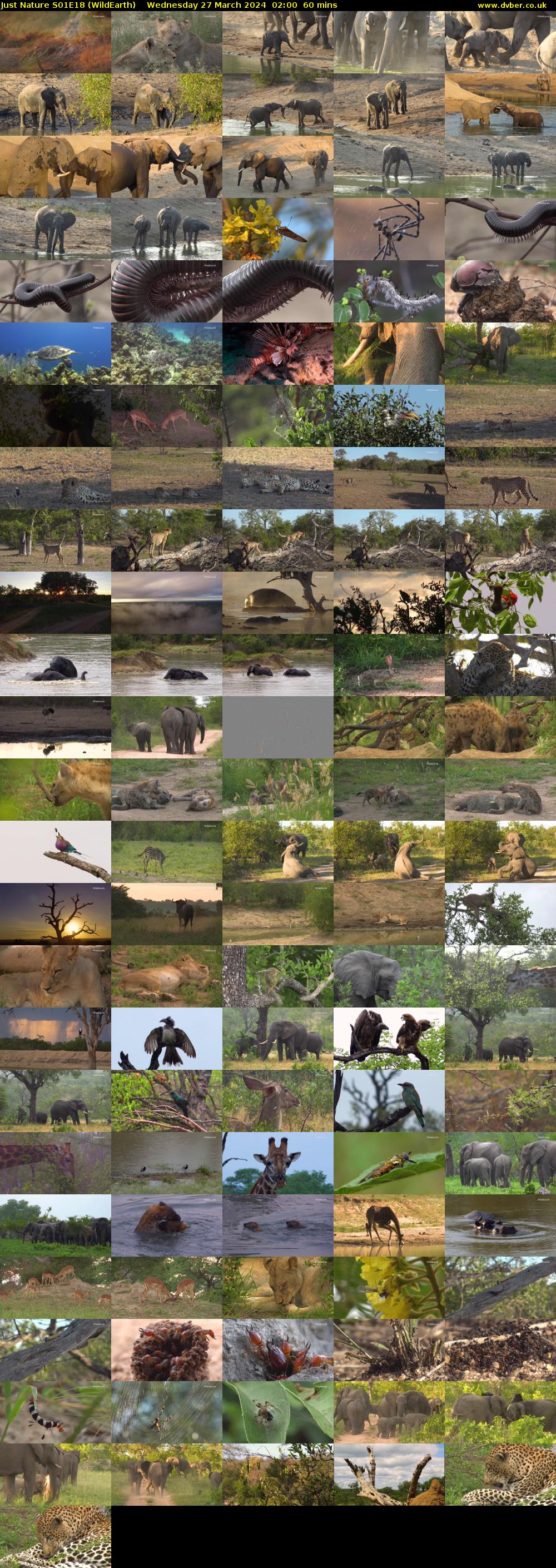 Just Nature S01E18 (WildEarth) Wednesday 27 March 2024 02:00 - 03:00