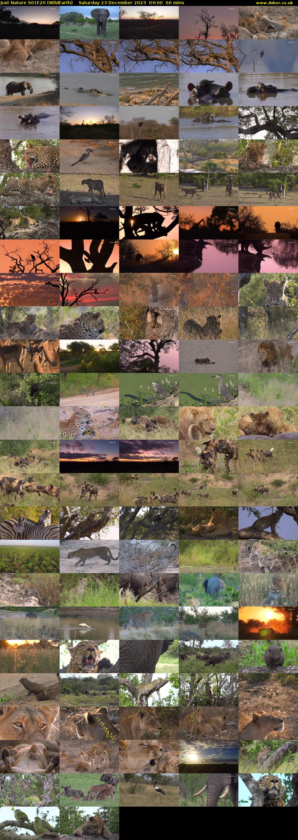 Just Nature S01E20 (WildEarth) Saturday 23 December 2023 04:00 - 05:00