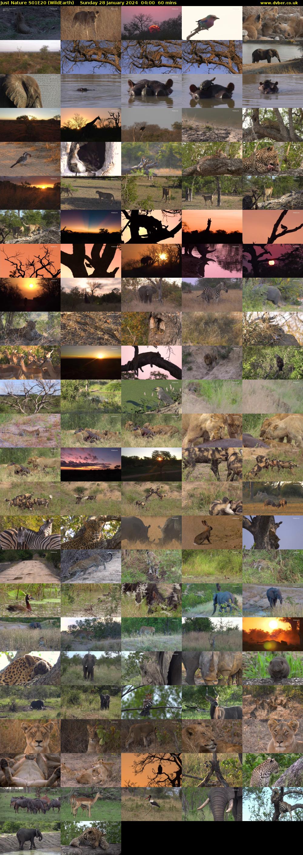 Just Nature S01E20 (WildEarth) Sunday 28 January 2024 04:00 - 05:00