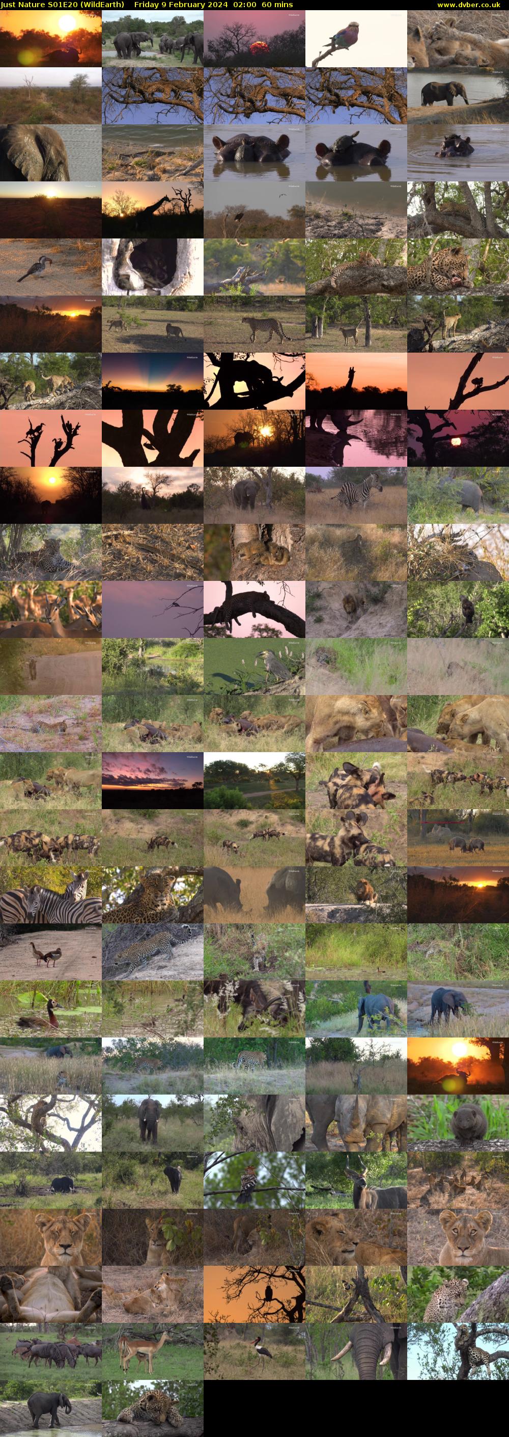 Just Nature S01E20 (WildEarth) Friday 9 February 2024 02:00 - 03:00