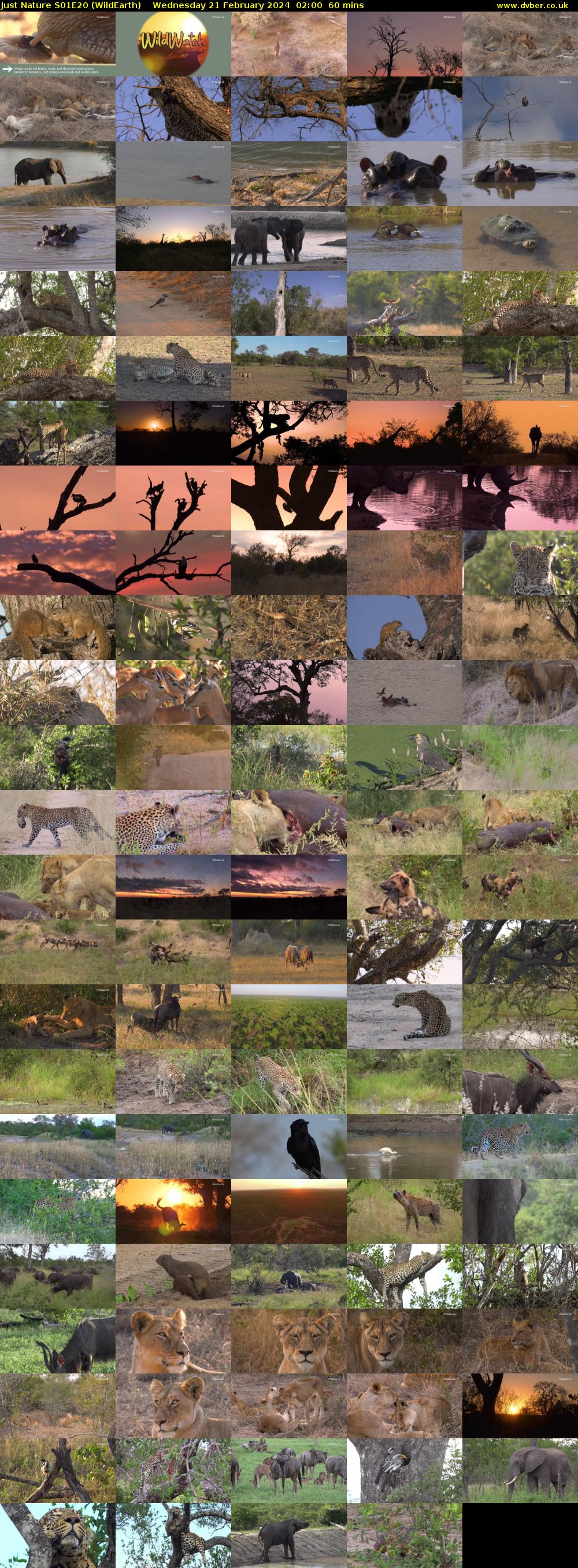 Just Nature S01E20 (WildEarth) Wednesday 21 February 2024 02:00 - 03:00
