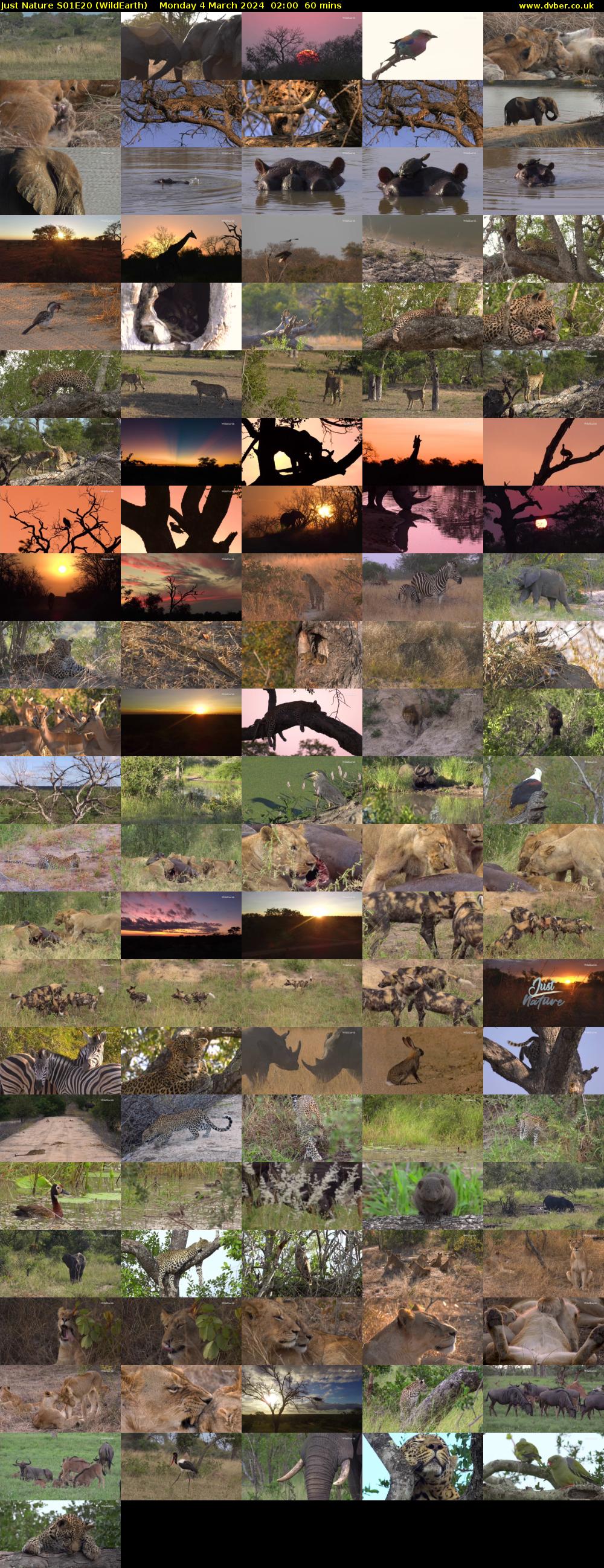 Just Nature S01E20 (WildEarth) Monday 4 March 2024 02:00 - 03:00