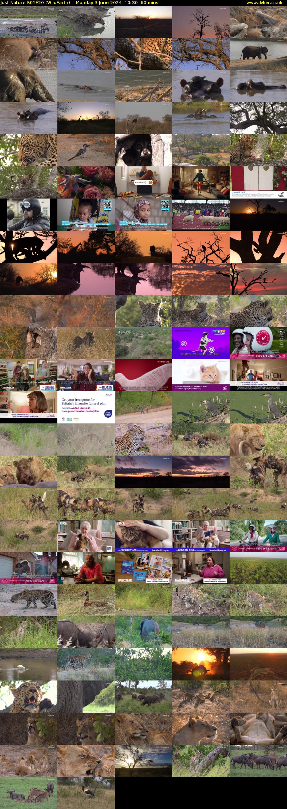 Just Nature S01E20 (WildEarth) Monday 3 June 2024 10:30 - 11:30
