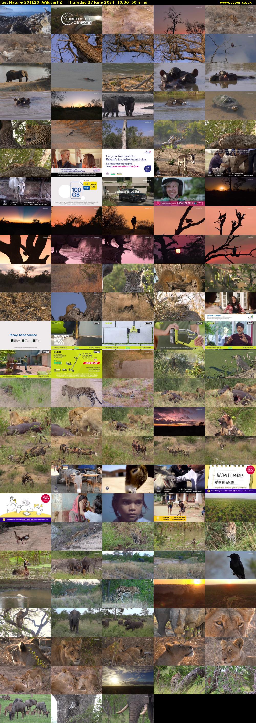 Just Nature S01E20 (WildEarth) Thursday 27 June 2024 10:30 - 11:30