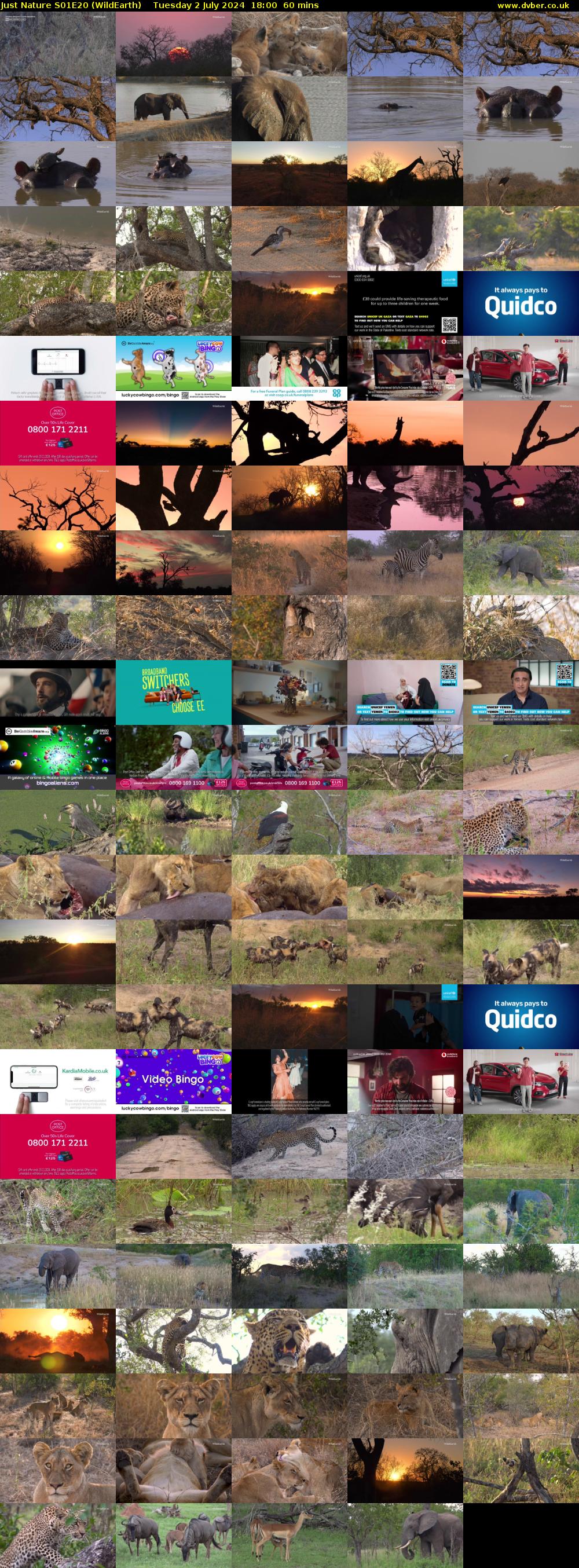 Just Nature S01E20 (WildEarth) Tuesday 2 July 2024 18:00 - 19:00