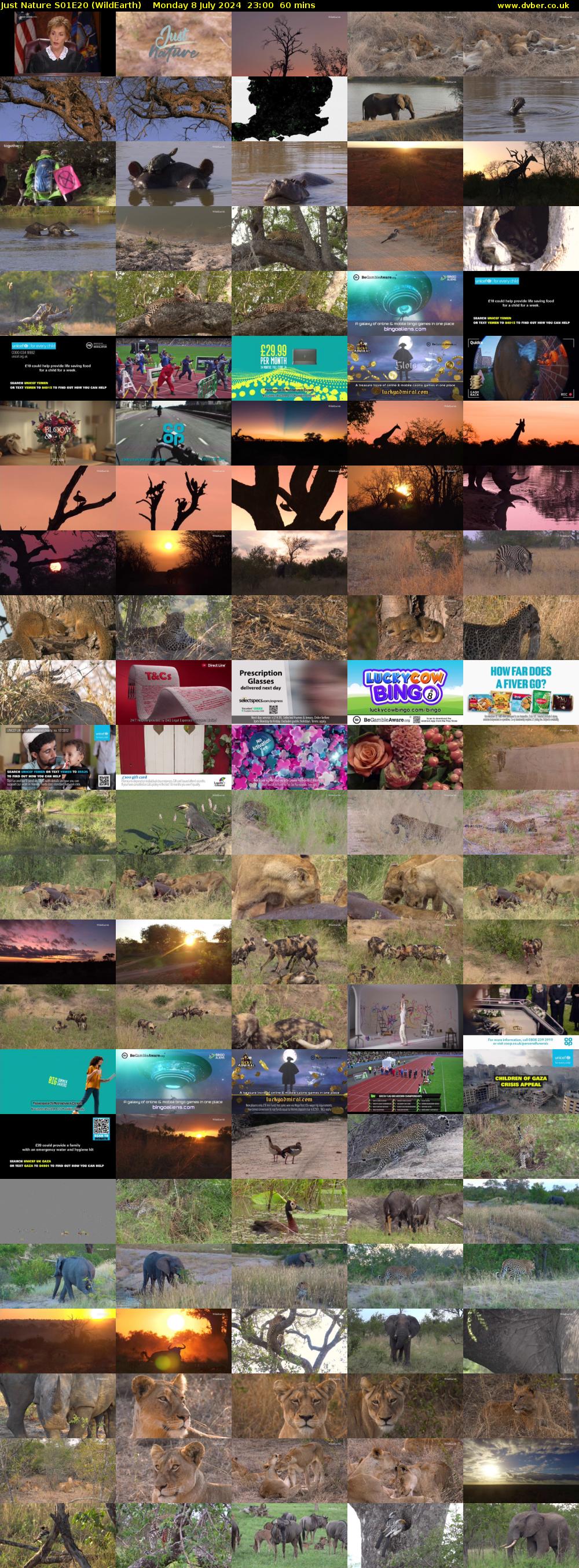 Just Nature S01E20 (WildEarth) Monday 8 July 2024 23:00 - 00:00