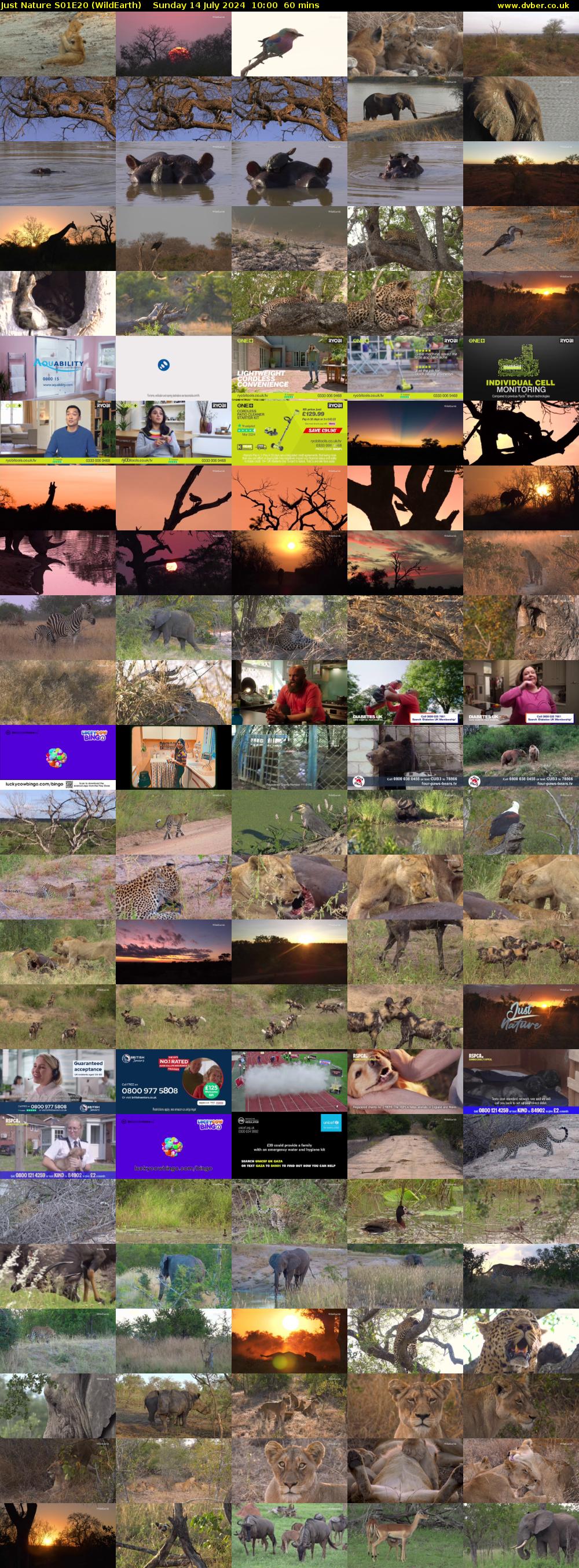 Just Nature S01E20 (WildEarth) Sunday 14 July 2024 10:00 - 11:00
