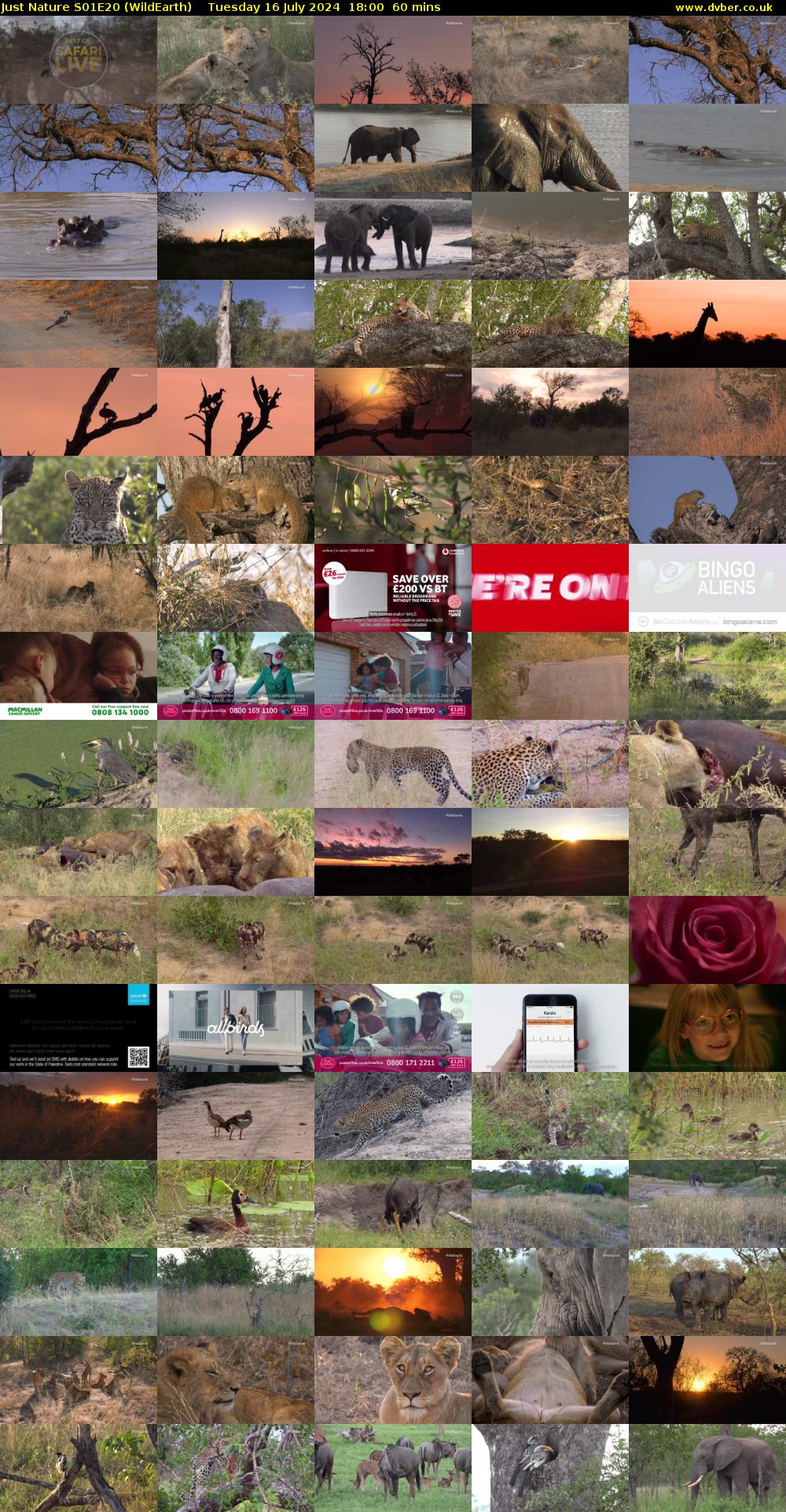 Just Nature S01E20 (WildEarth) Tuesday 16 July 2024 18:00 - 19:00