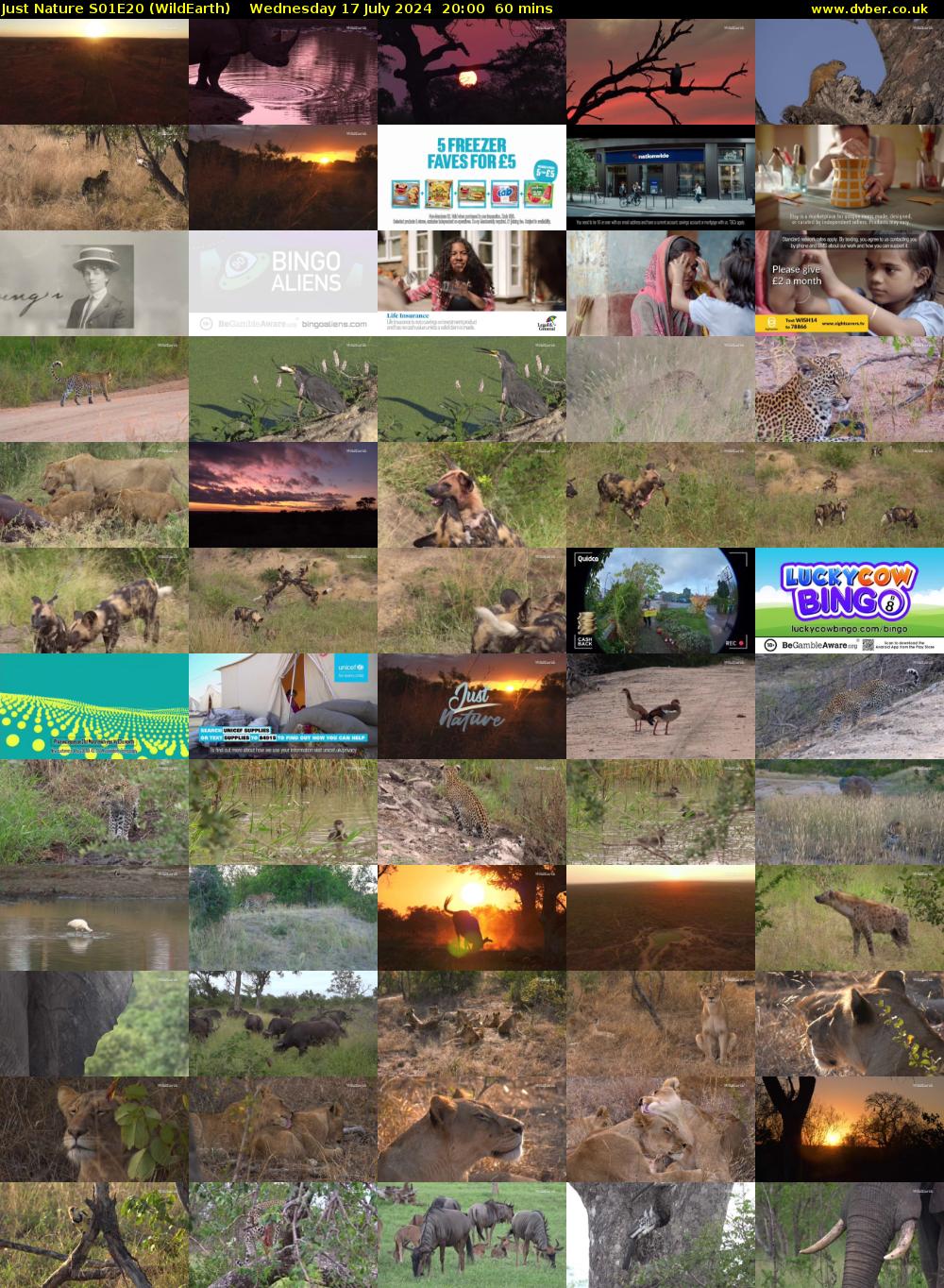 Just Nature S01E20 (WildEarth) Wednesday 17 July 2024 20:00 - 21:00