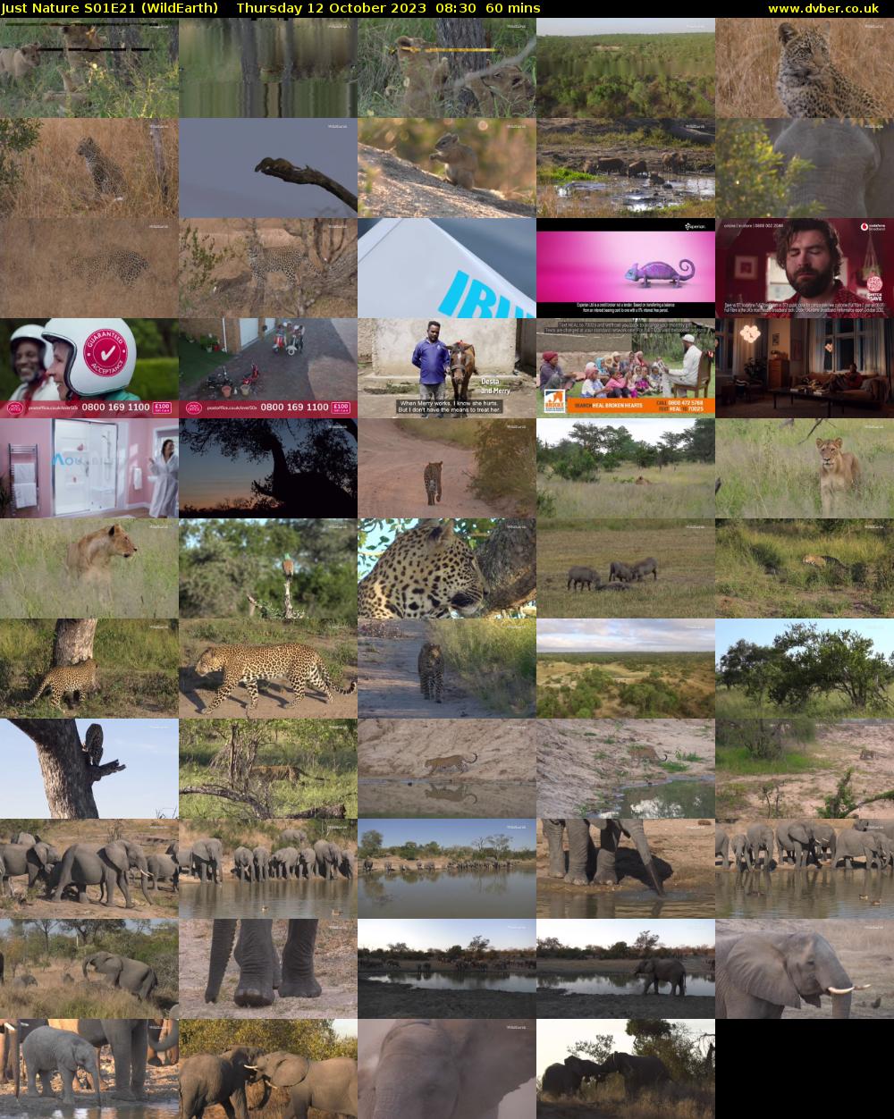 Just Nature S01E21 (WildEarth) Thursday 12 October 2023 08:30 - 09:30
