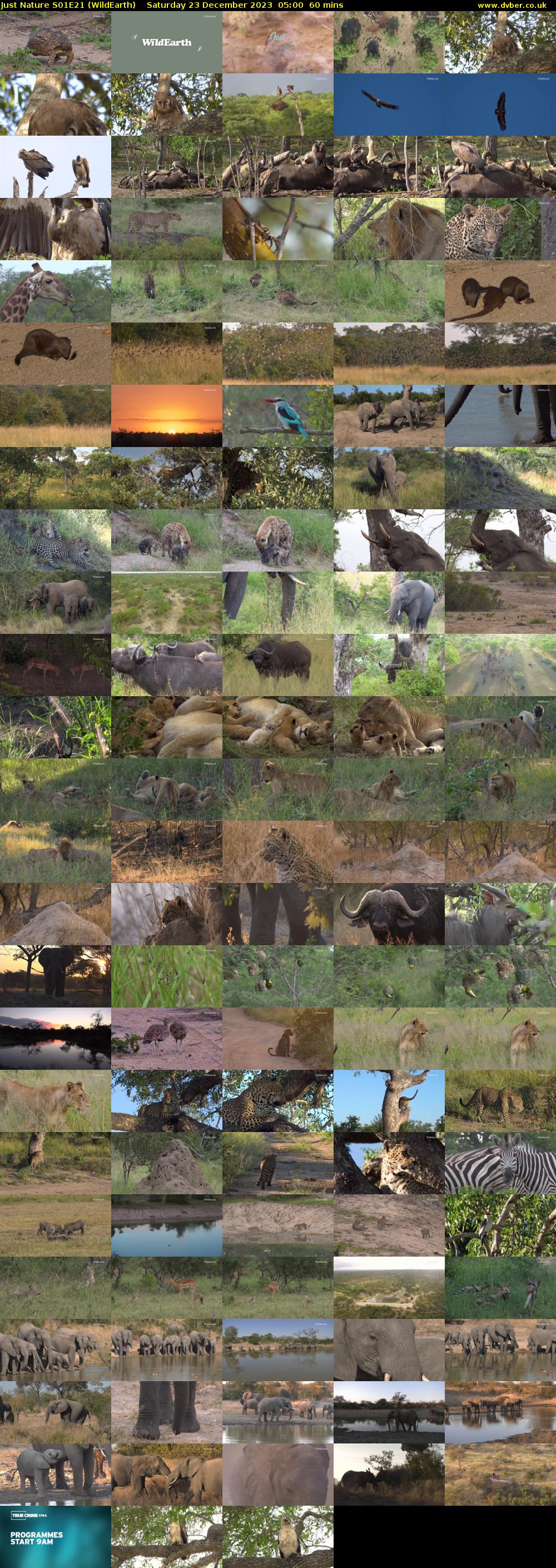Just Nature S01E21 (WildEarth) Saturday 23 December 2023 05:00 - 06:00