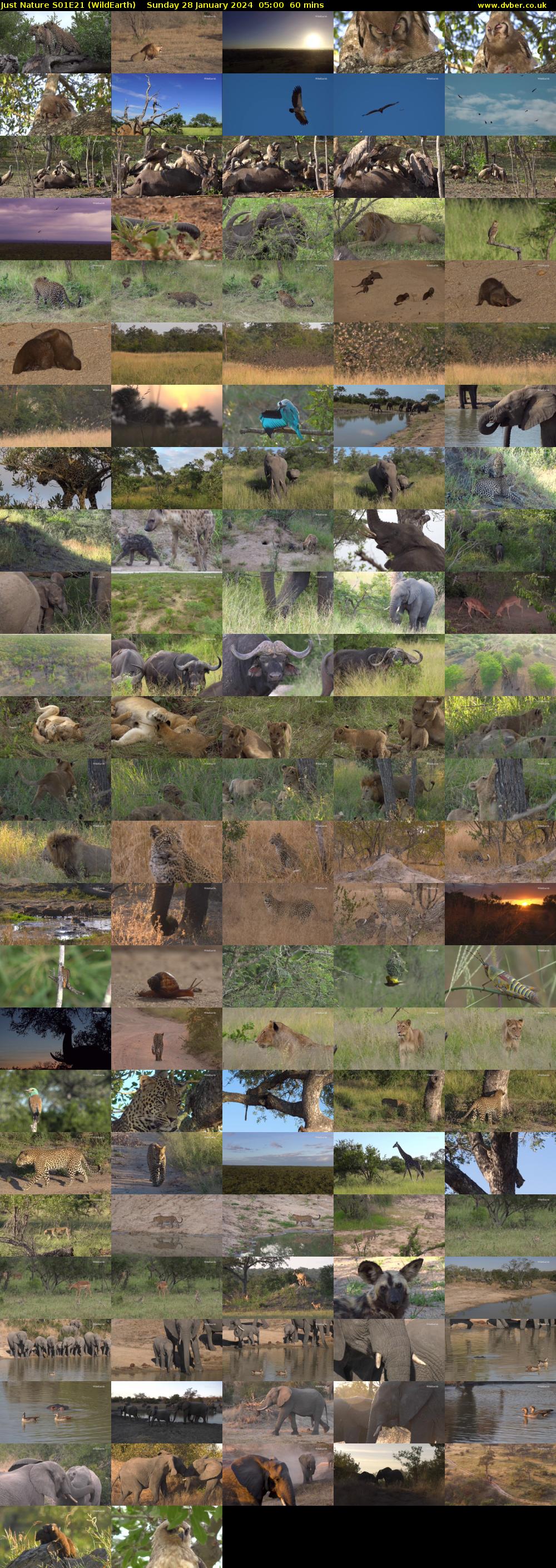 Just Nature S01E21 (WildEarth) Sunday 28 January 2024 05:00 - 06:00