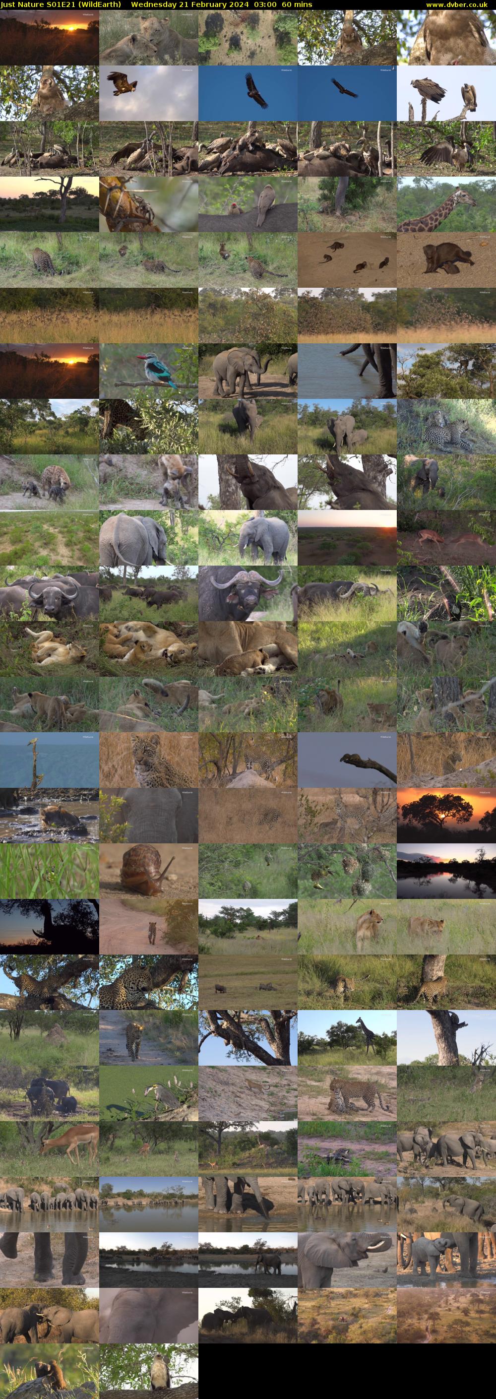 Just Nature S01E21 (WildEarth) Wednesday 21 February 2024 03:00 - 04:00