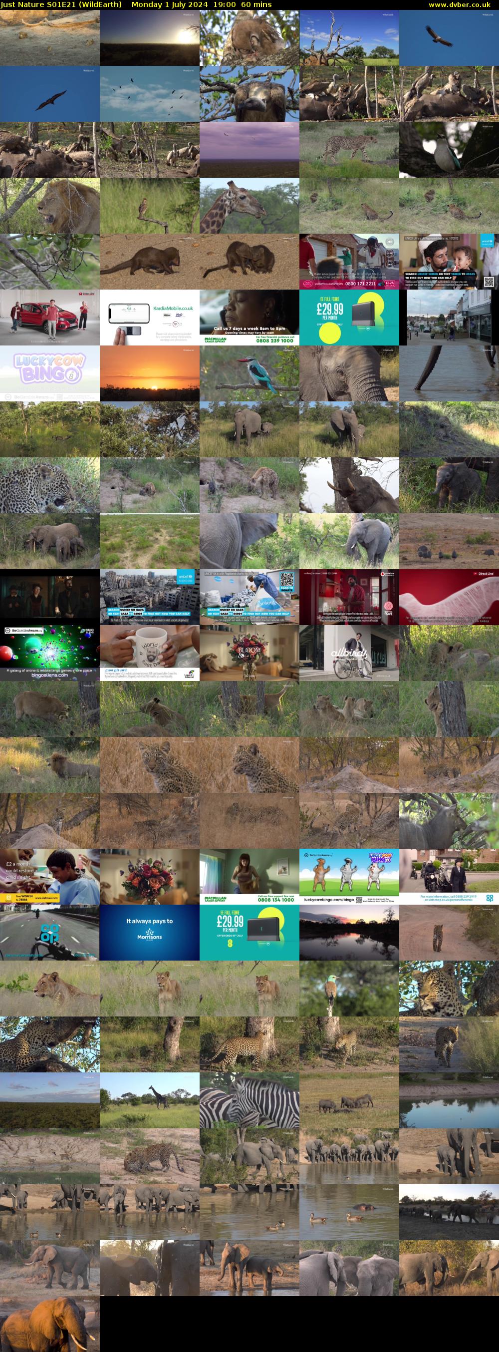 Just Nature S01E21 (WildEarth) Monday 1 July 2024 19:00 - 20:00